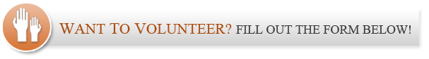 Volunteer At MorningStar Montessori